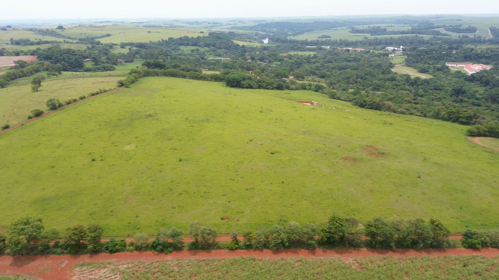 Rea Rural De Alqueires Venda Em Porto Feliz Sp Viva Rural Im Veis