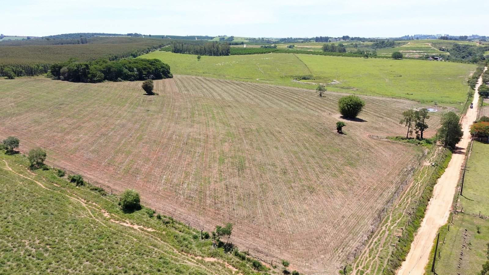 Sítio de 32,7 alqueires a venda em Tatuí-SP.
