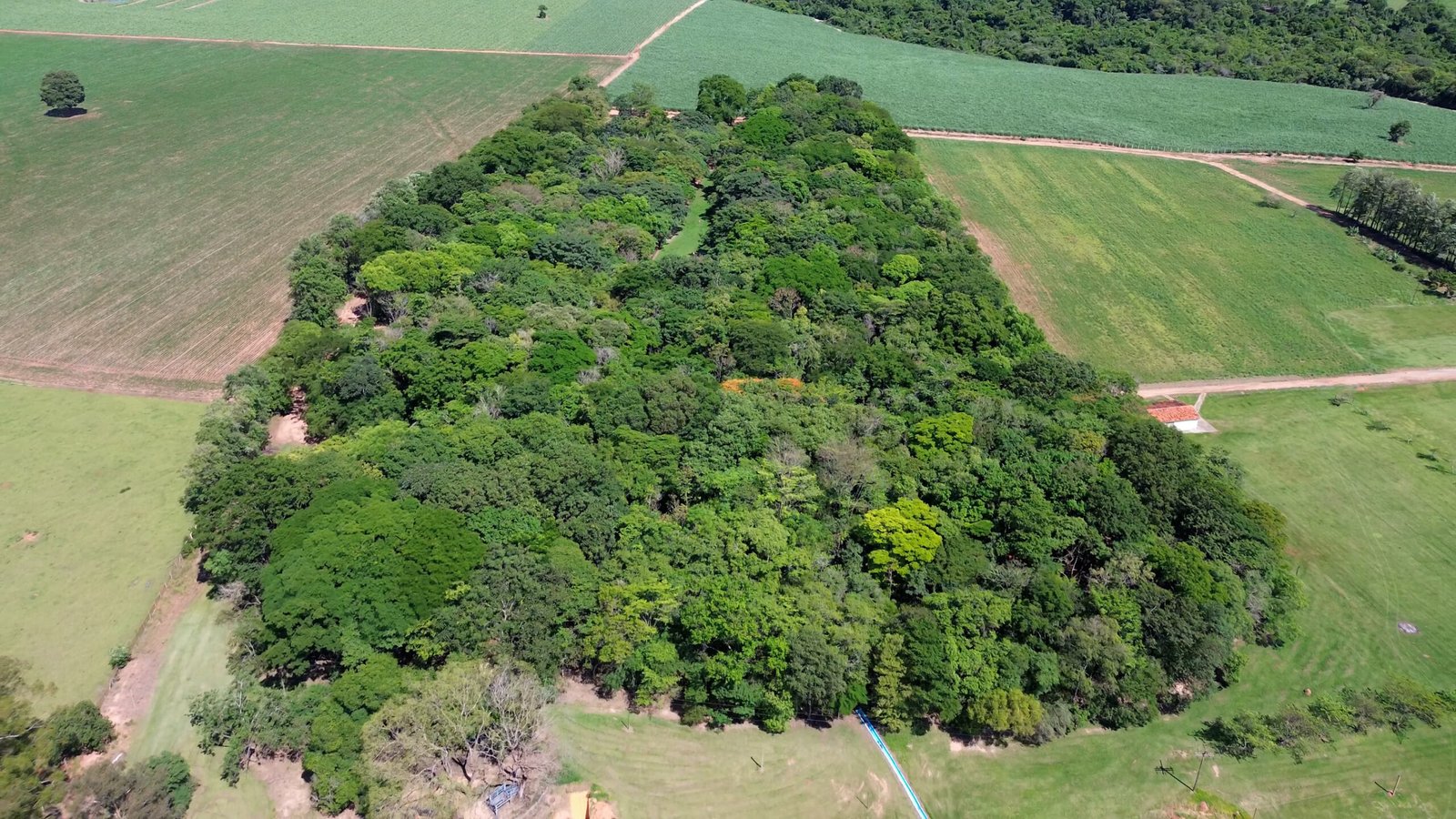 Sítio de 7 alqueires à venda em Tatui-SP.