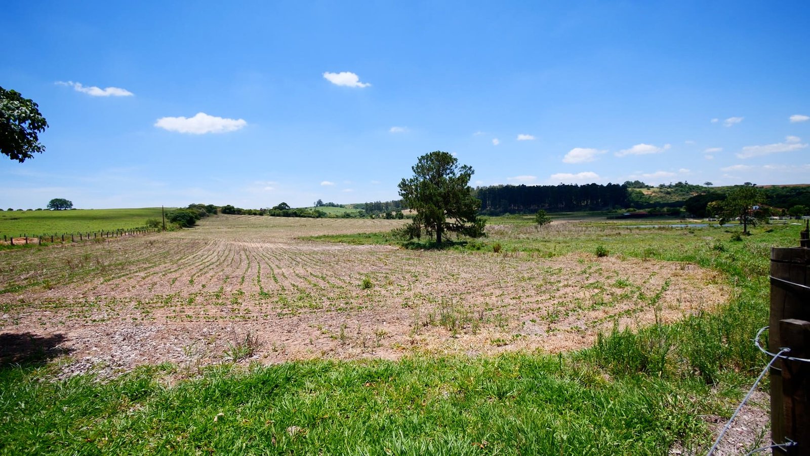 Sítio de 32,7 alqueires a venda em Tatuí-SP.