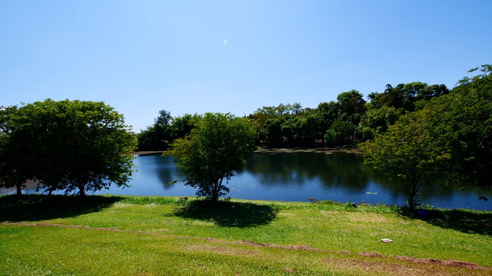 Sítio de 7 alqueires à venda em Tatui-SP.