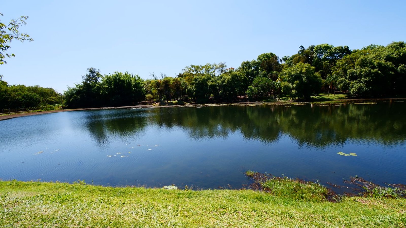 Sítio de 7 alqueires à venda em Tatui-SP.