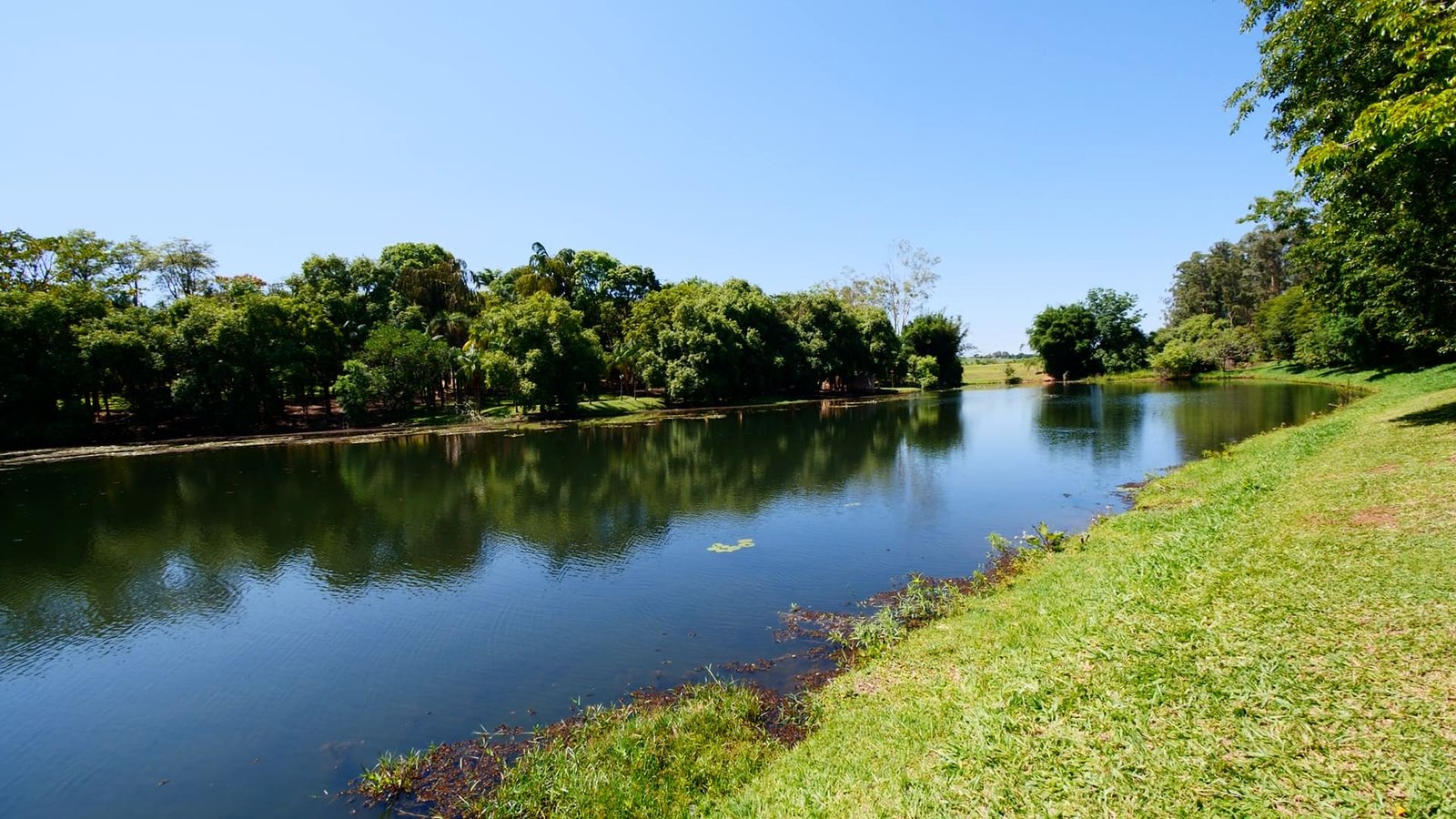 Sítio de 7 alqueires à venda em Tatui-SP.