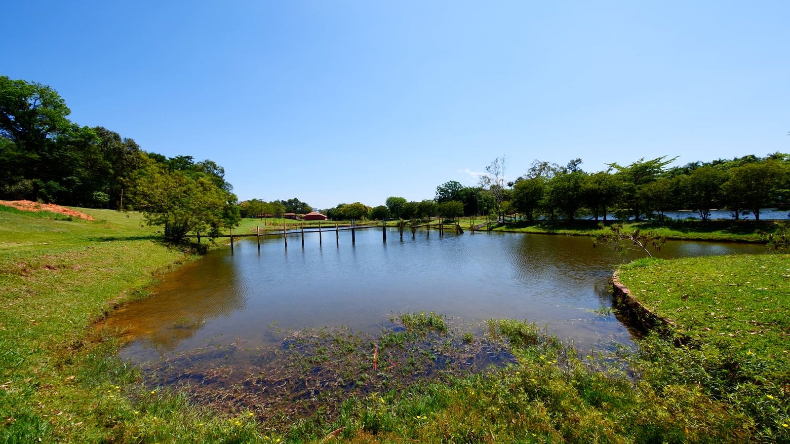 Sítio de 7 alqueires à venda em Tatui-SP.