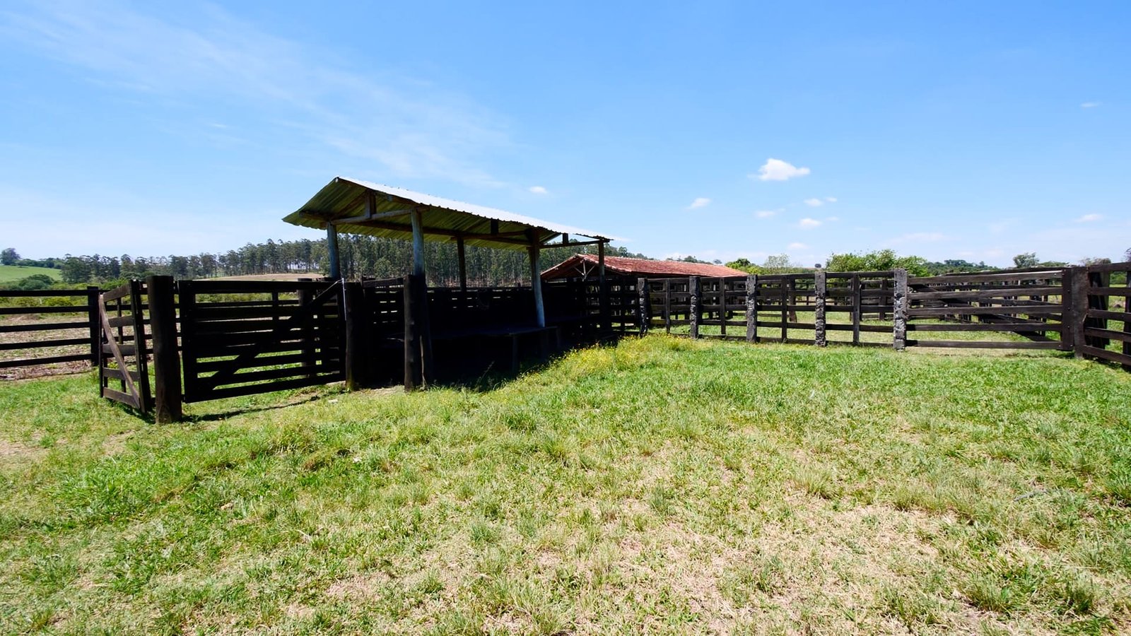 Sítio de 32,7 alqueires a venda em Tatuí-SP.
