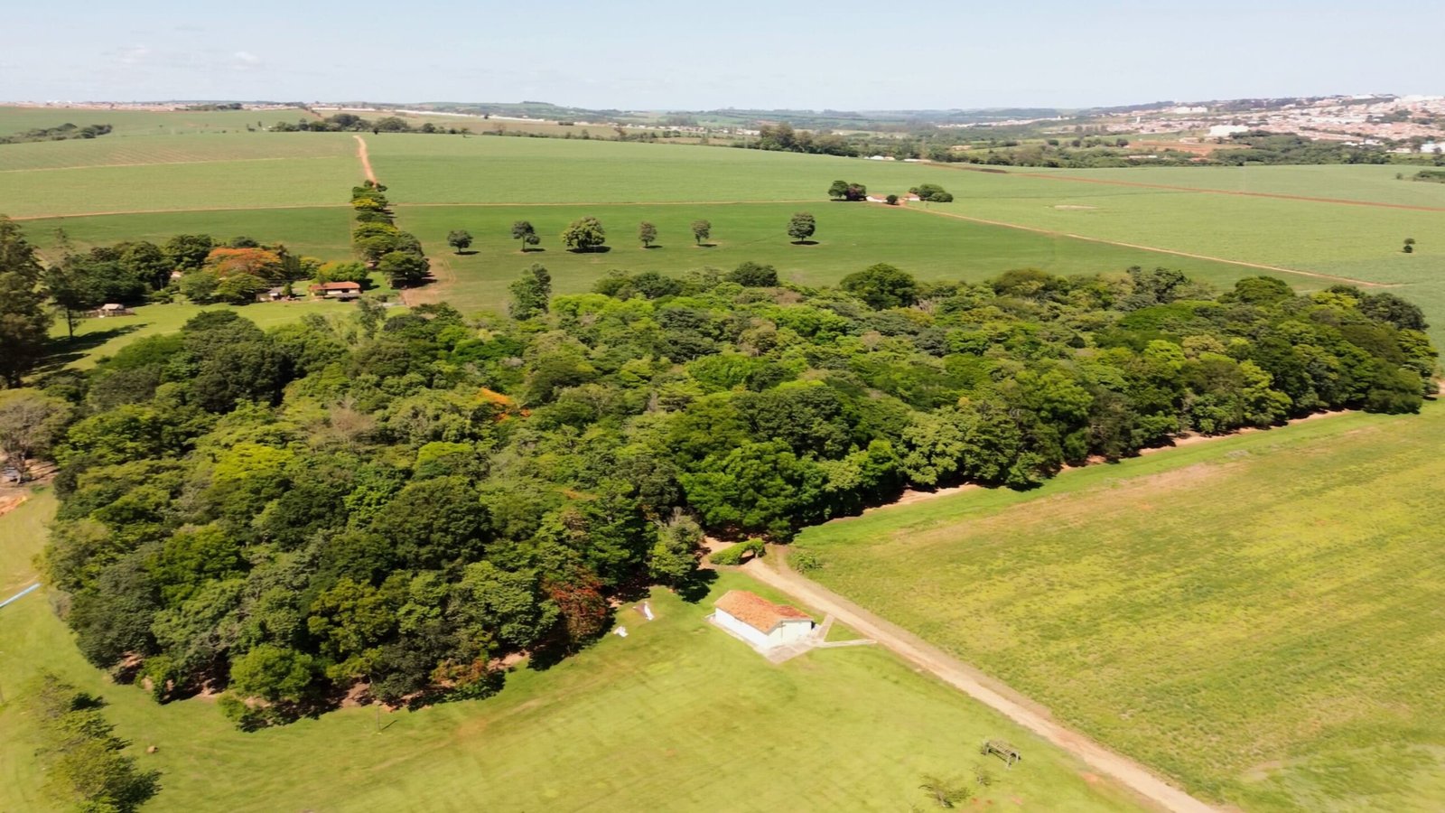 Sítio de 7 alqueires à venda em Tatui-SP.