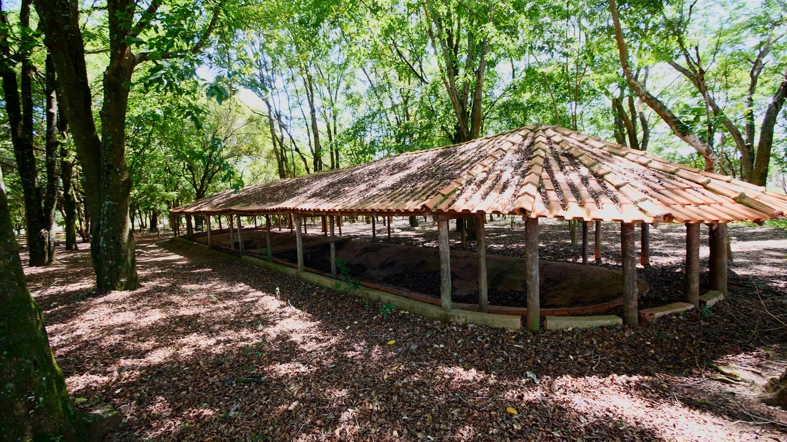 Sítio de 7 alqueires à venda em Tatui-SP.