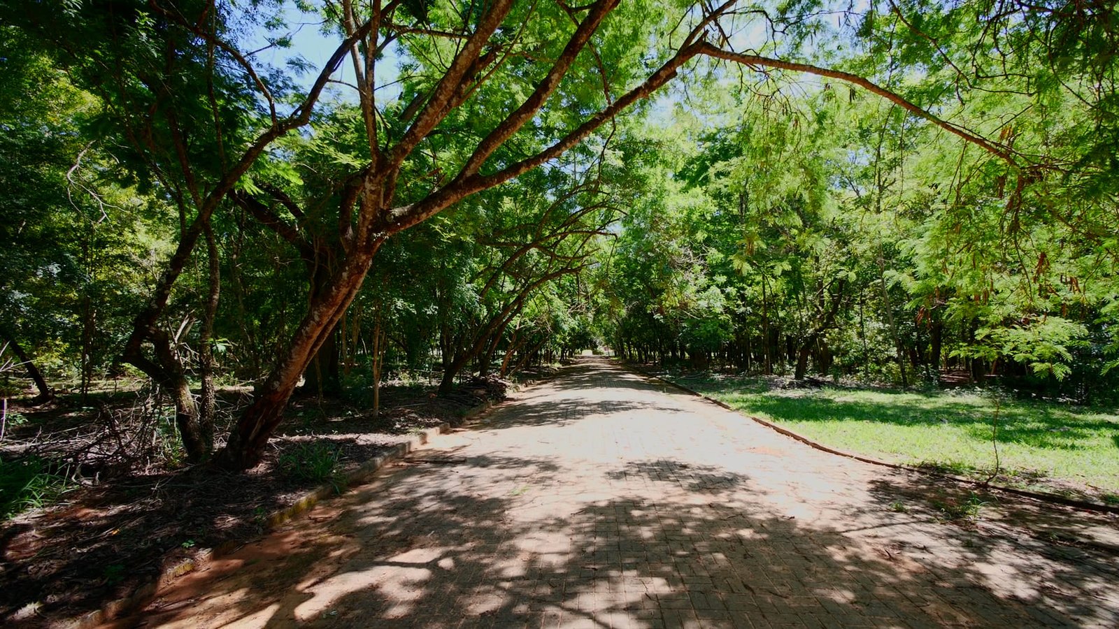 Sítio de 7 alqueires à venda em Tatui-SP.