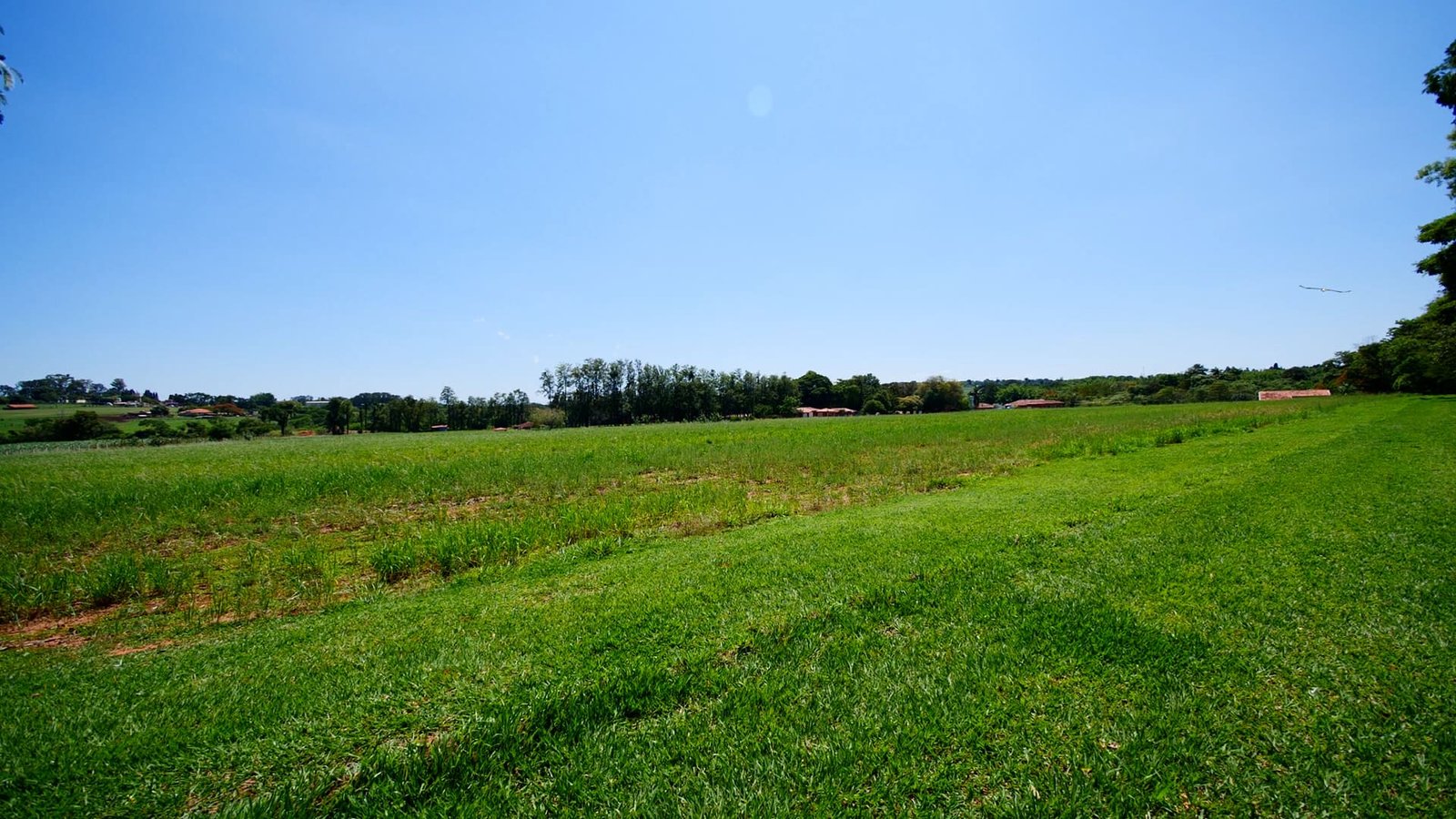 Sítio de 7 alqueires à venda em Tatui-SP.
