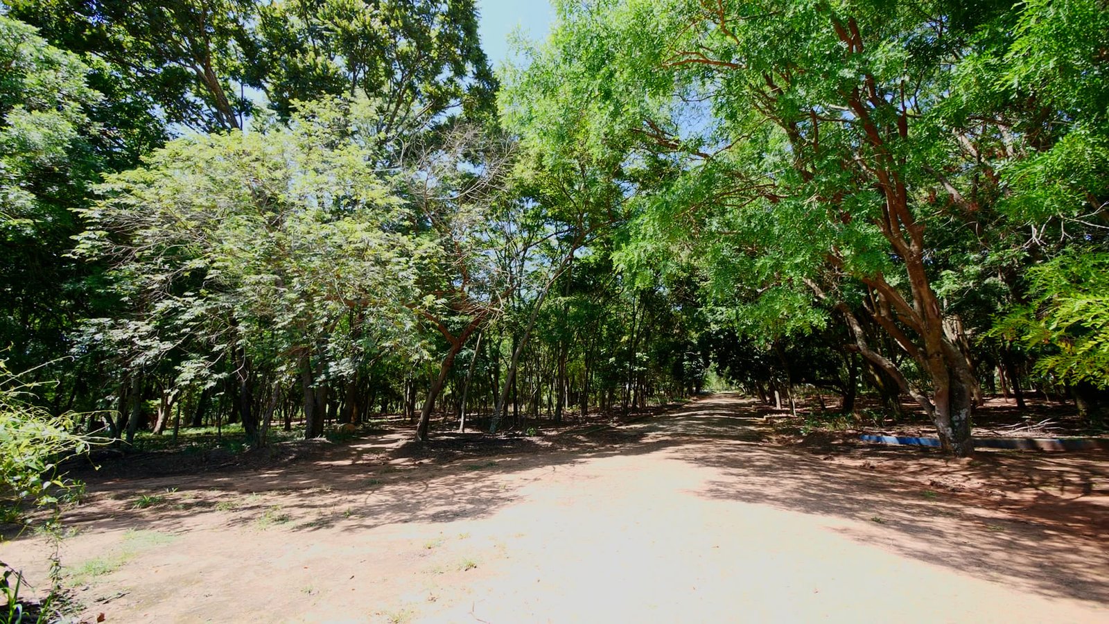 Sítio de 7 alqueires à venda em Tatui-SP.