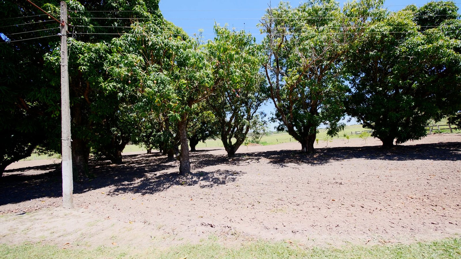 Sítio de 32,7 alqueires a venda em Tatuí-SP.