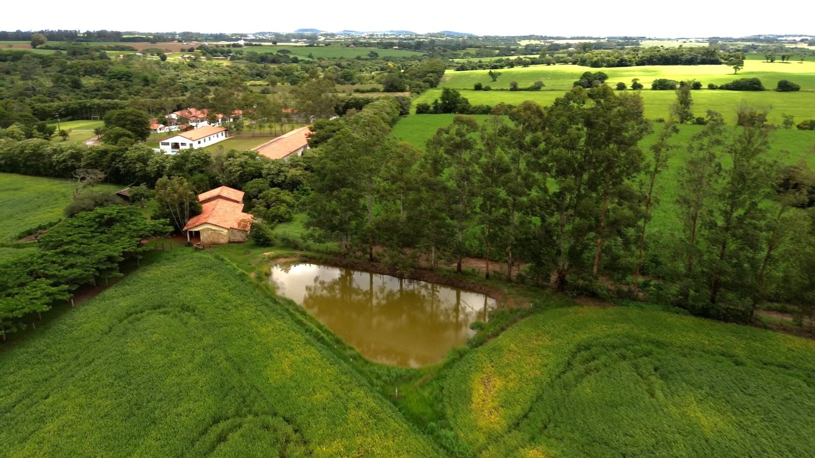 Sítio de 5.2 alqueires em Quadra-SP.