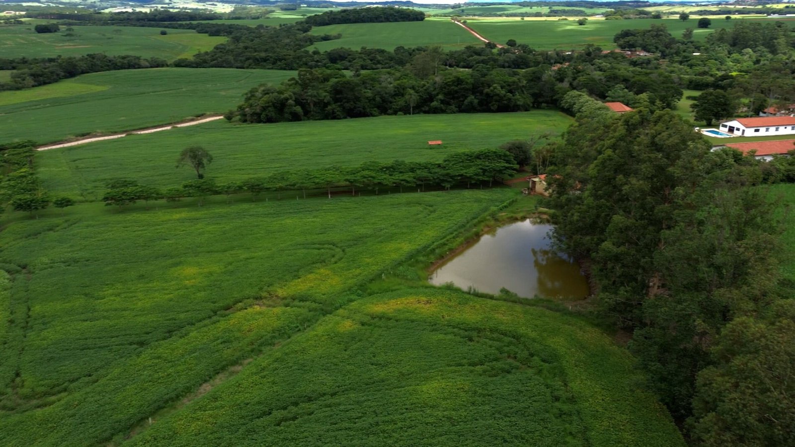 Sítio de 5.2 alqueires em Quadra-SP.