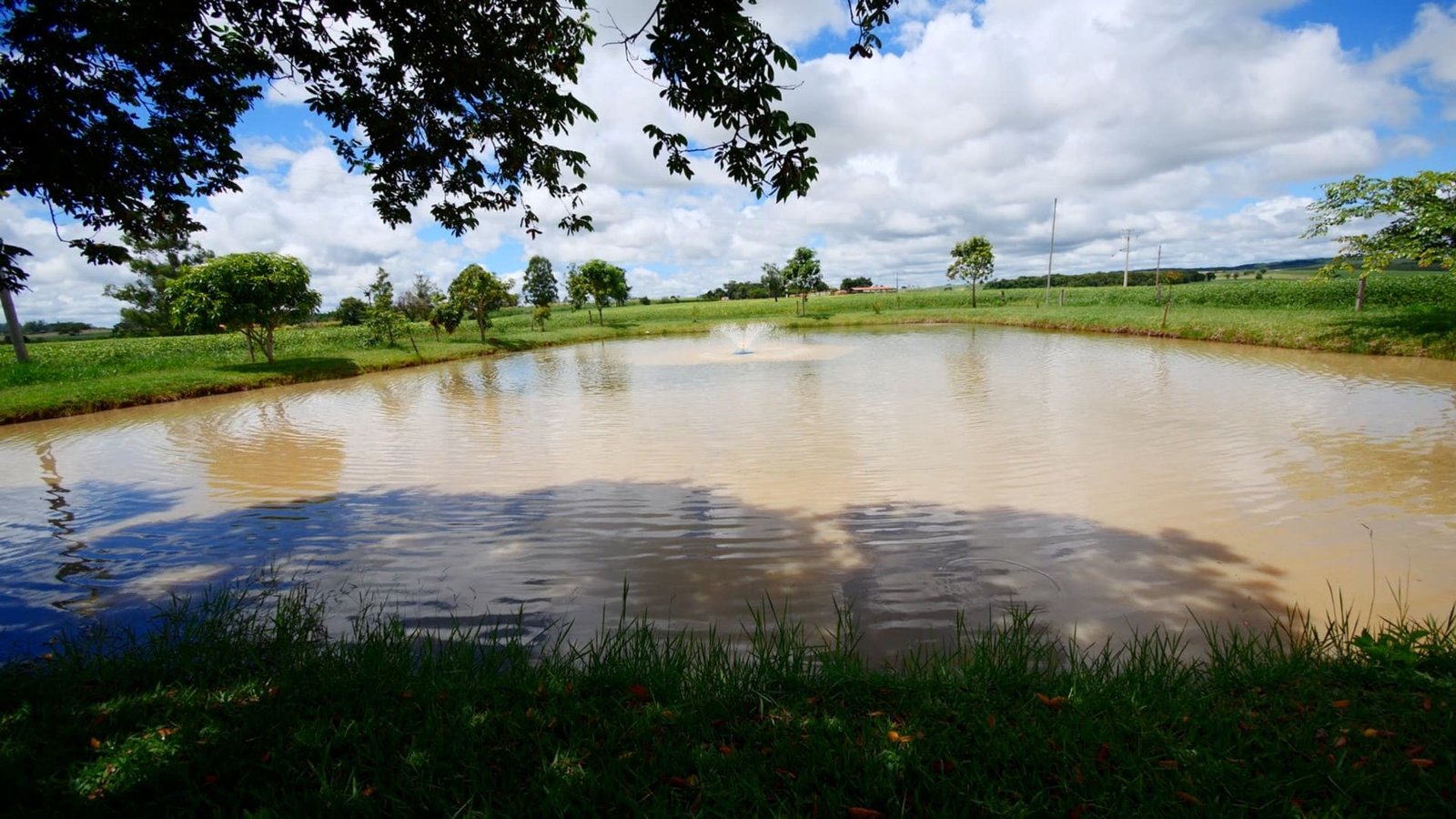 Sítio de 5.2 alqueires em Quadra-SP.