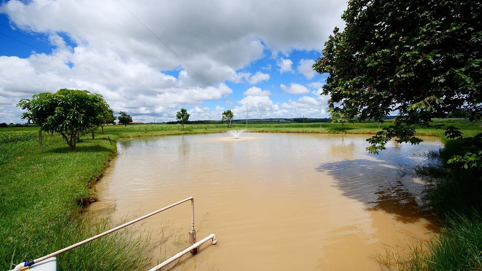 Sítio de 5.2 alqueires em Quadra-SP.