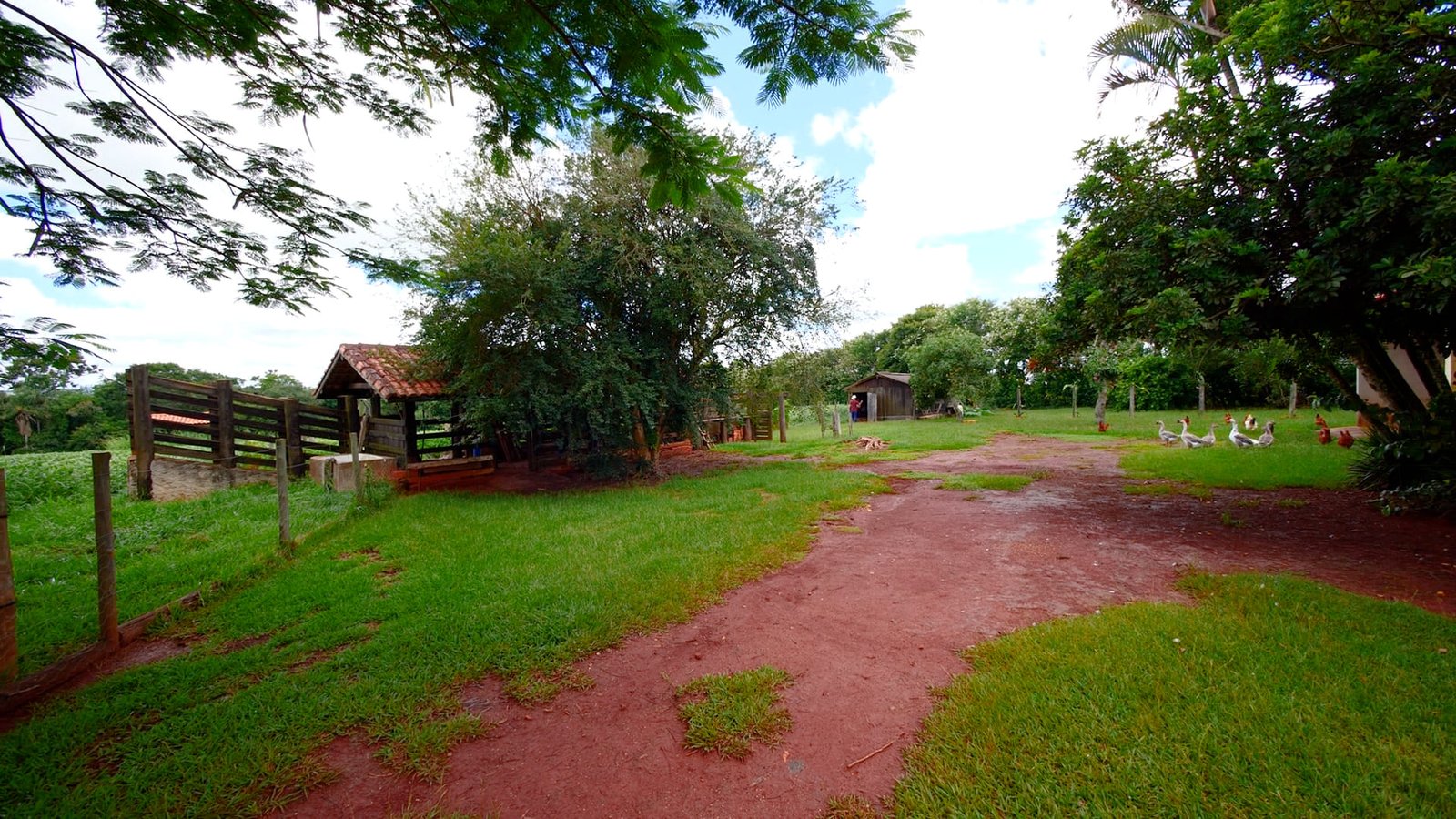 Sítio de 5.2 alqueires em Quadra-SP.