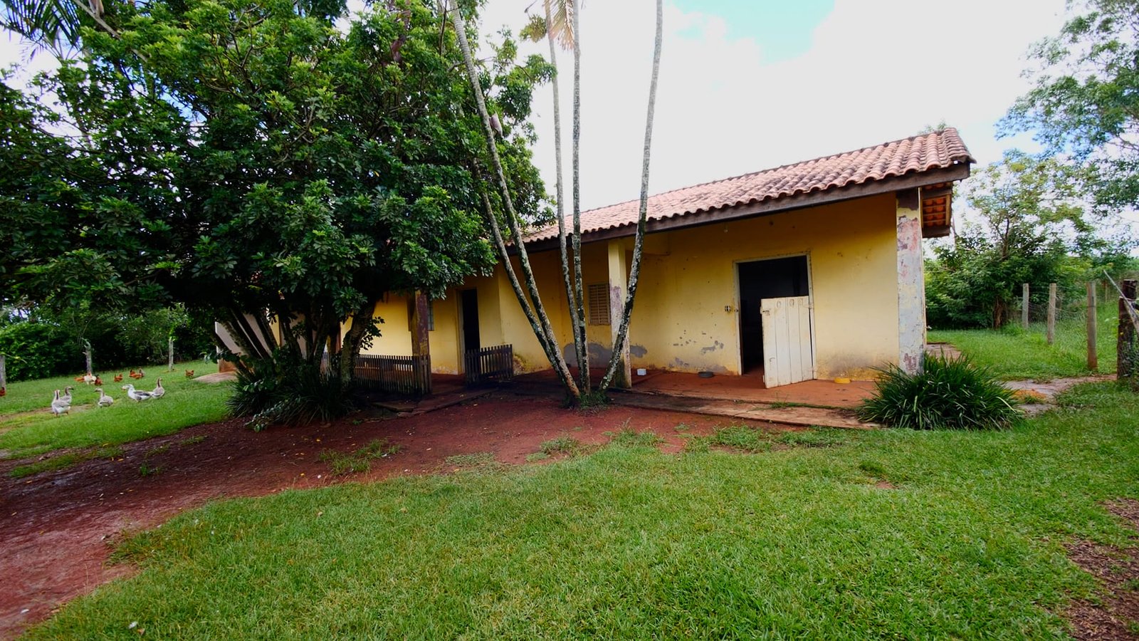 Sítio de 5.2 alqueires em Quadra-SP.