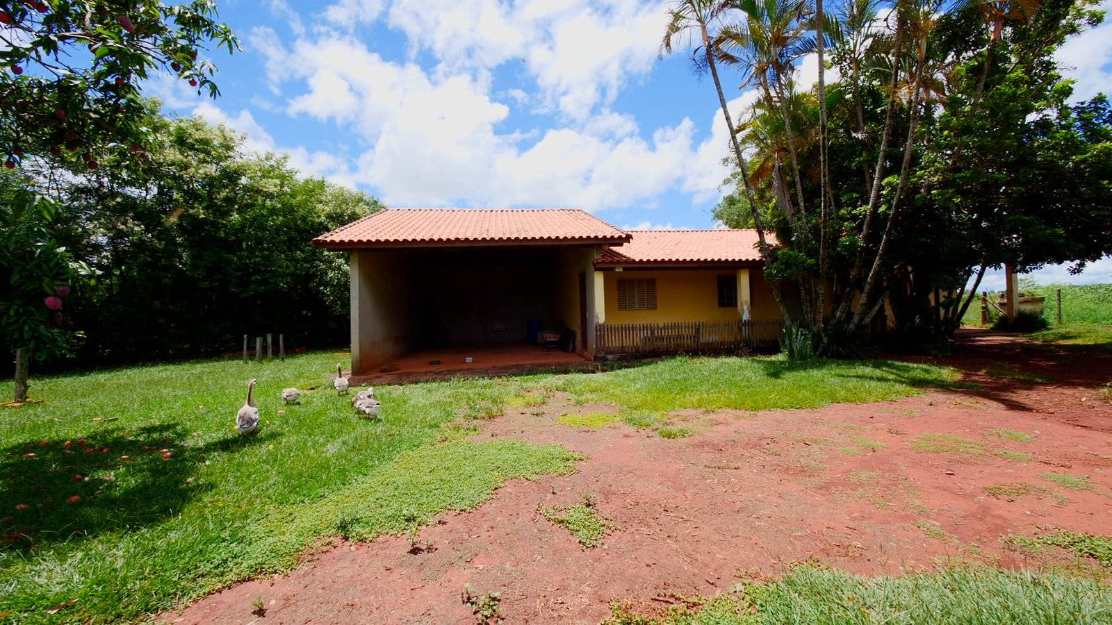 Sítio de 5.2 alqueires em Quadra-SP.