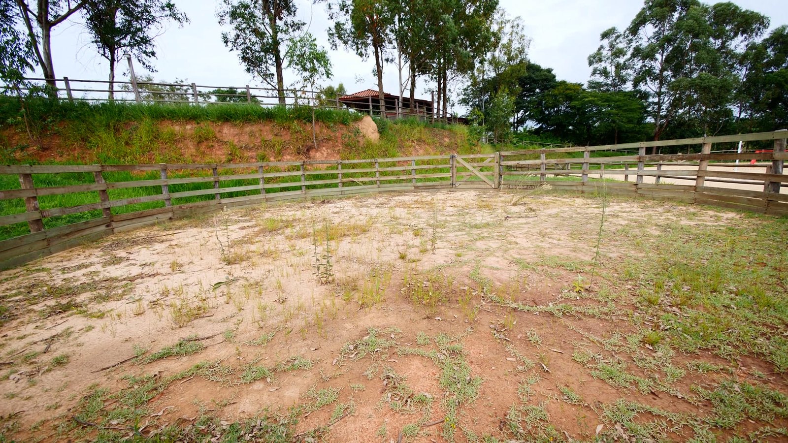 Sítio de 4 alqueires á venda em Araçoiaba da Serra-SP.