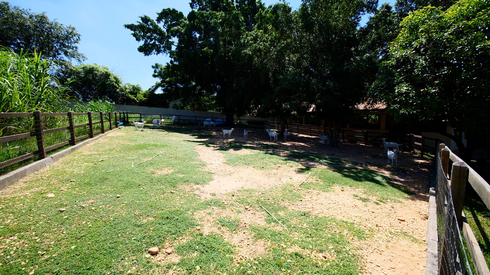 Haras de Alto Padrão à venda em Porto Feliz – Condomínio Rural.
