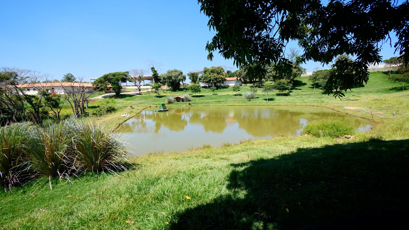 Haras de Alto Padrão à venda em Porto Feliz – Condomínio Rural.