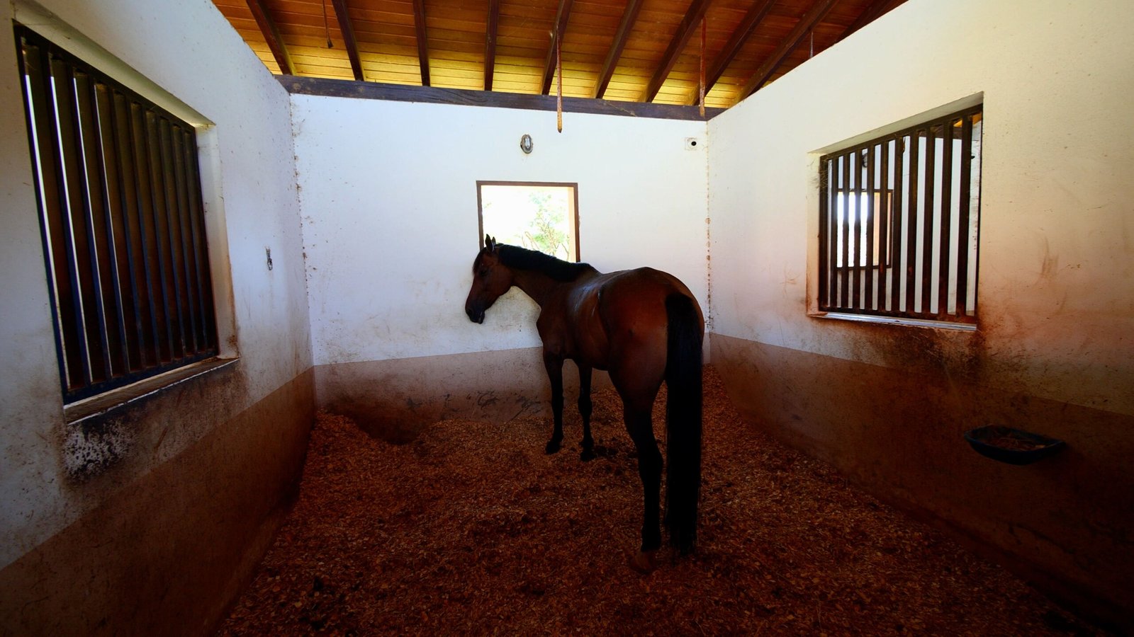 Haras de Alto Padrão à venda em Porto Feliz – Condomínio Rural.