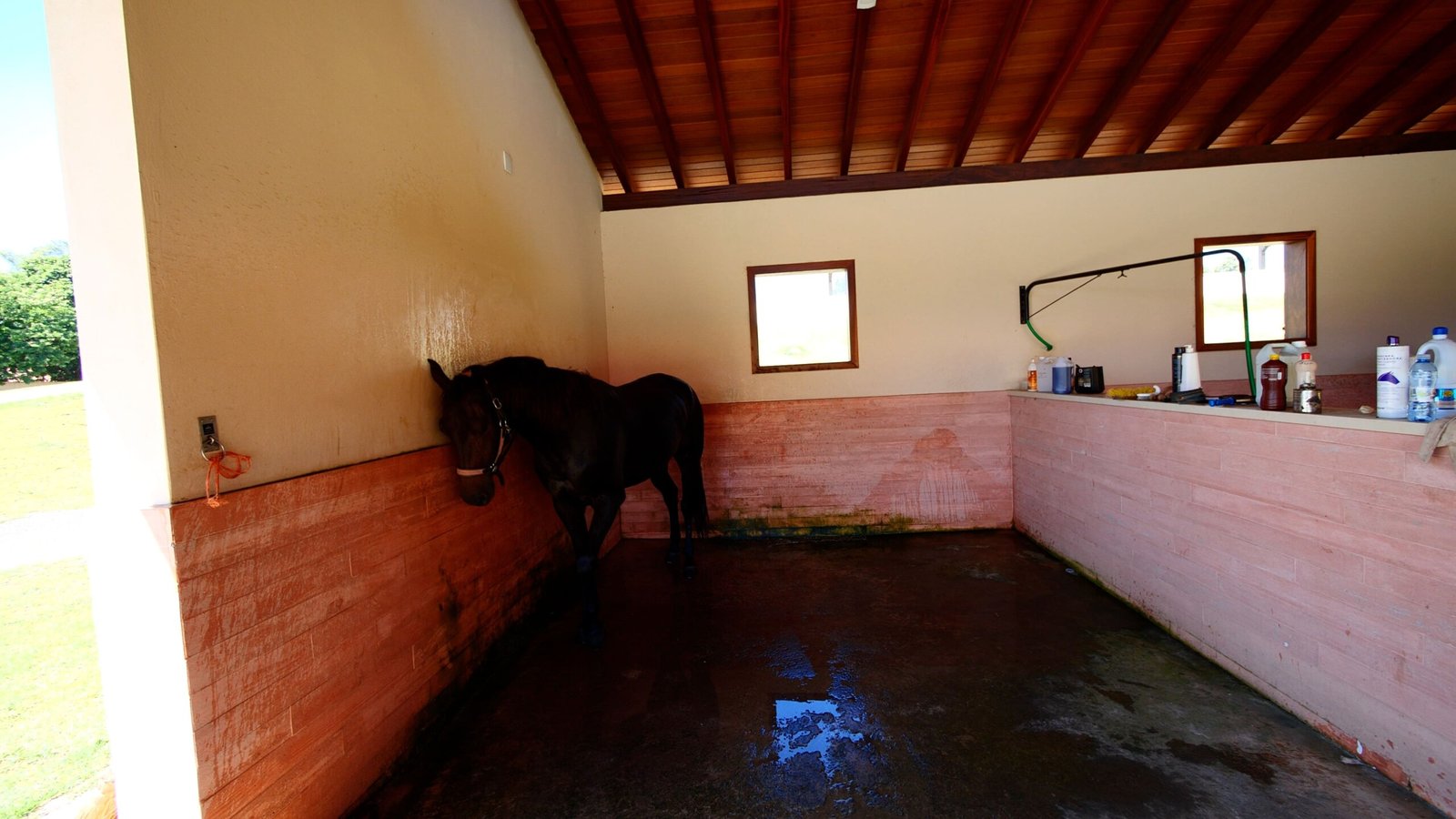 Haras de Alto Padrão à venda em Porto Feliz – Condomínio Rural.