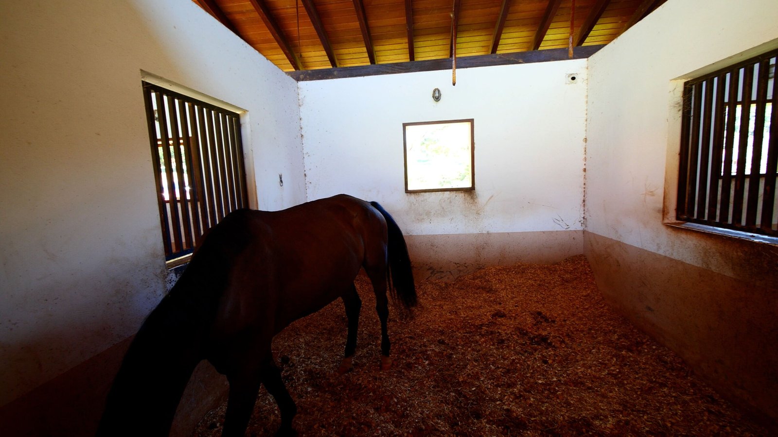 Haras de Alto Padrão à venda em Porto Feliz – Condomínio Rural.