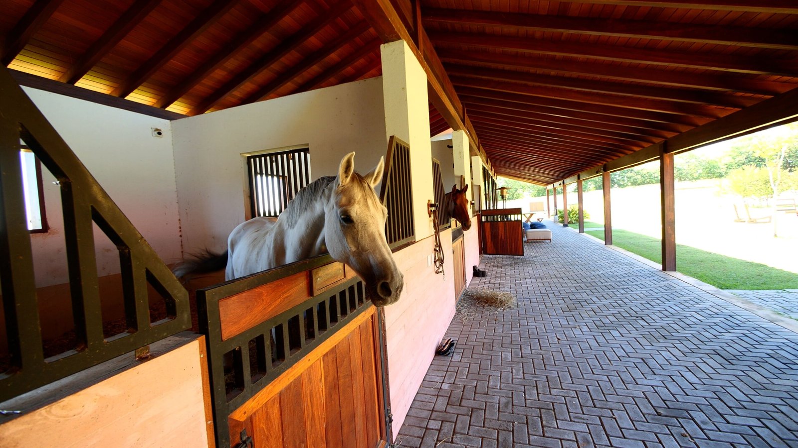 Haras de Alto Padrão à venda em Porto Feliz – Condomínio Rural.