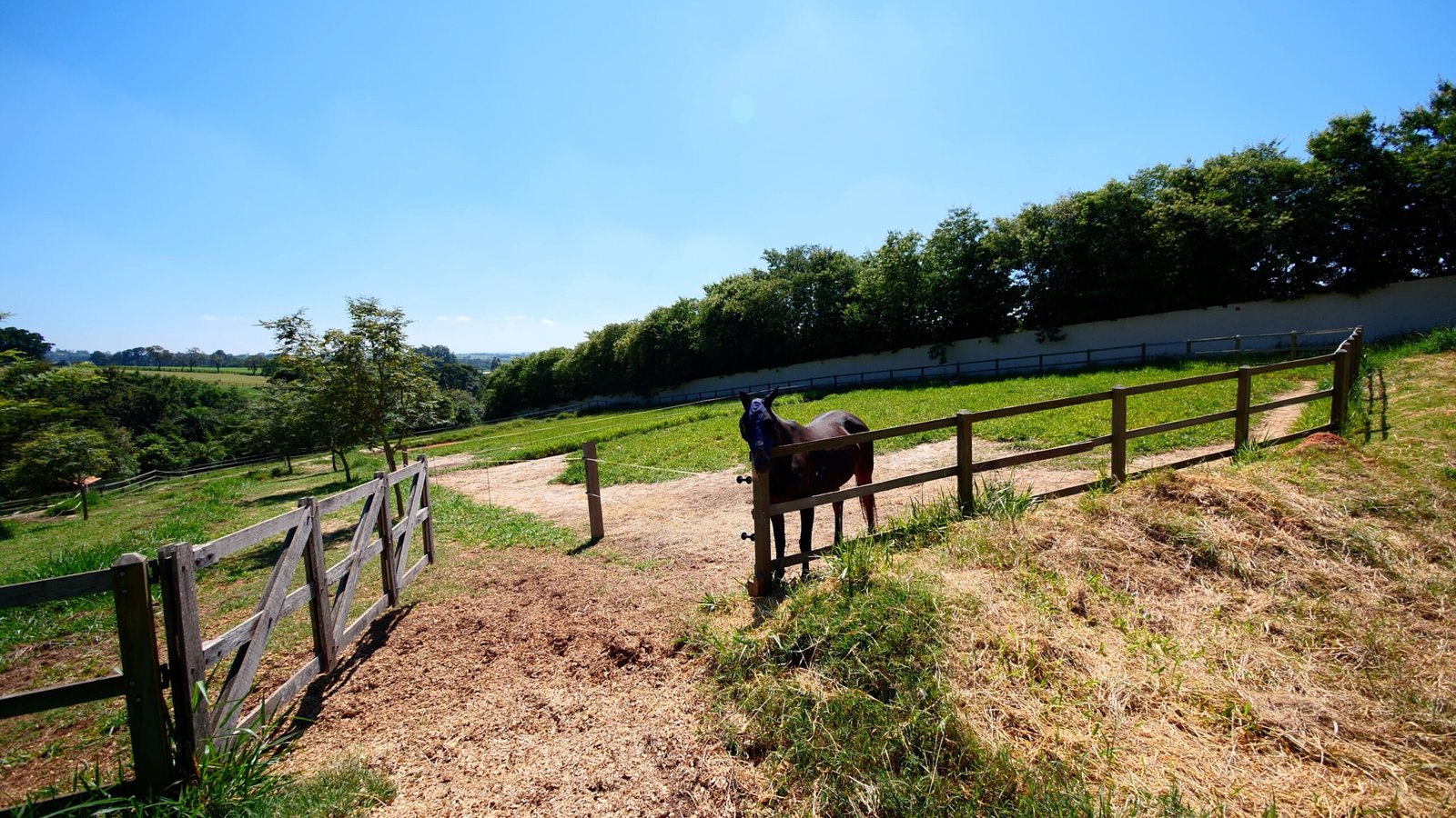 Haras de Alto Padrão à venda em Porto Feliz – Condomínio Rural.