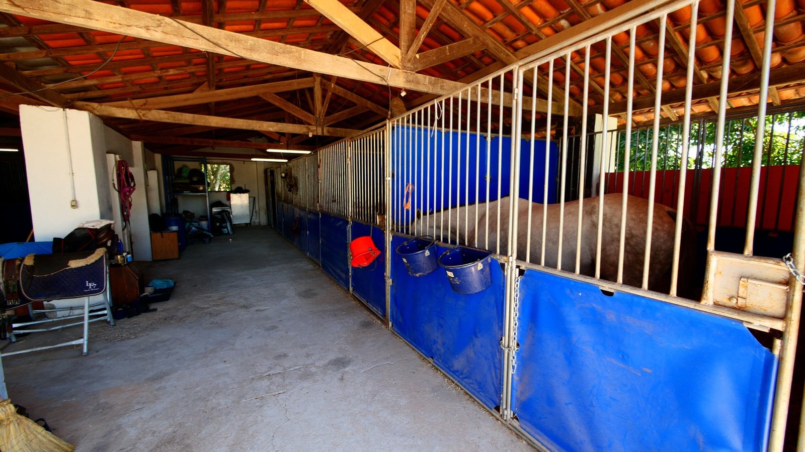 Haras de Alto Padrão à venda em Porto Feliz – Condomínio Rural.