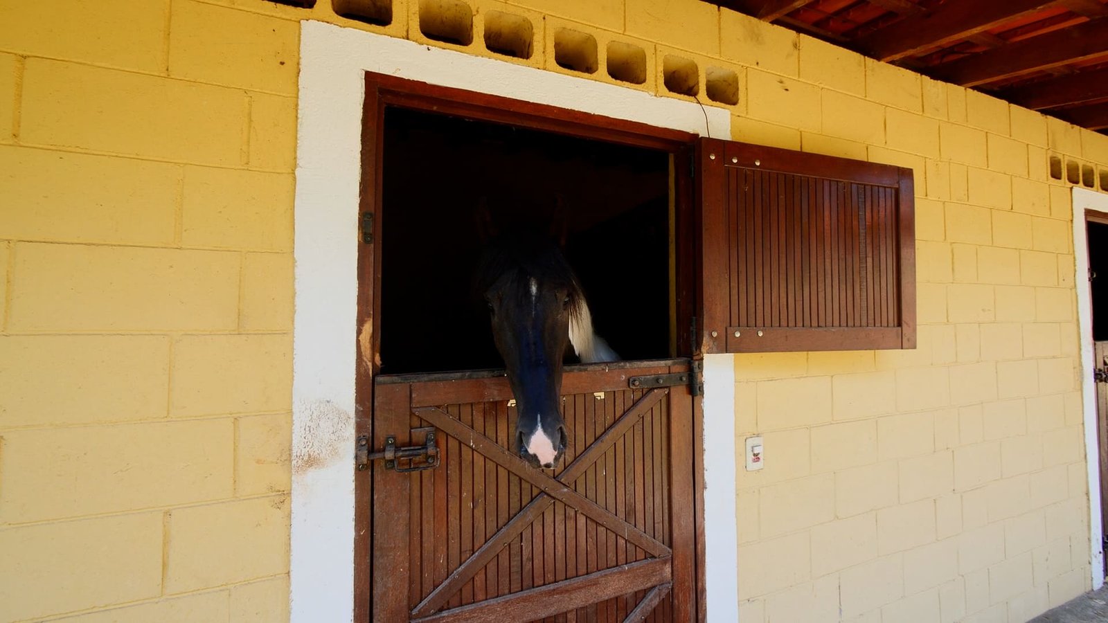Haras de 2 alqueires à venda em Salto/SP
