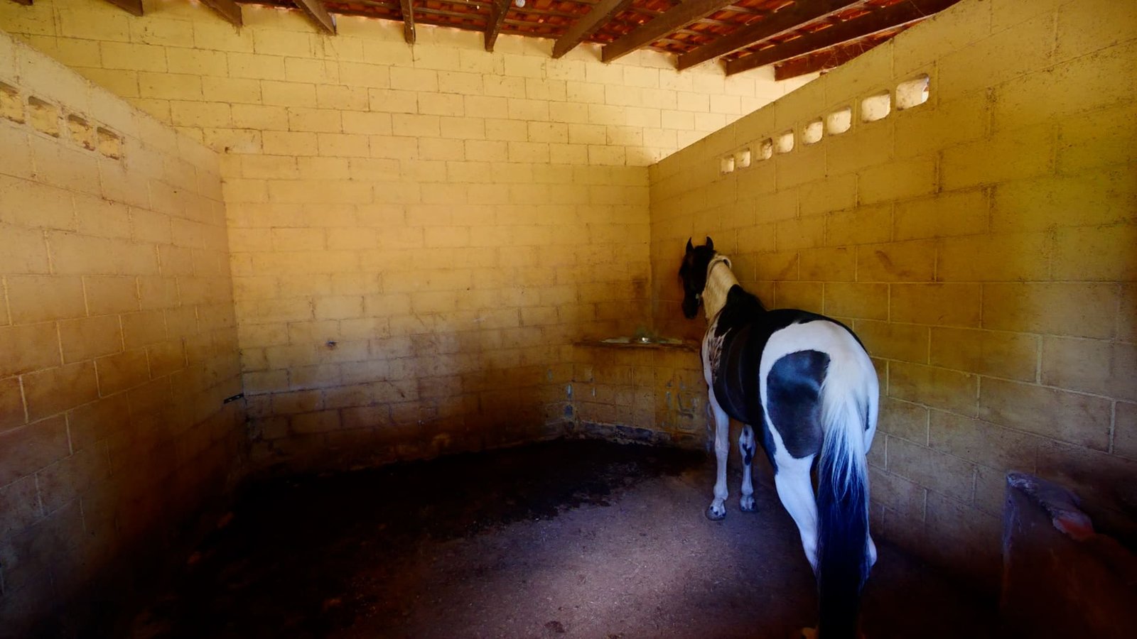 Haras de 2 alqueires à venda em Salto/SP