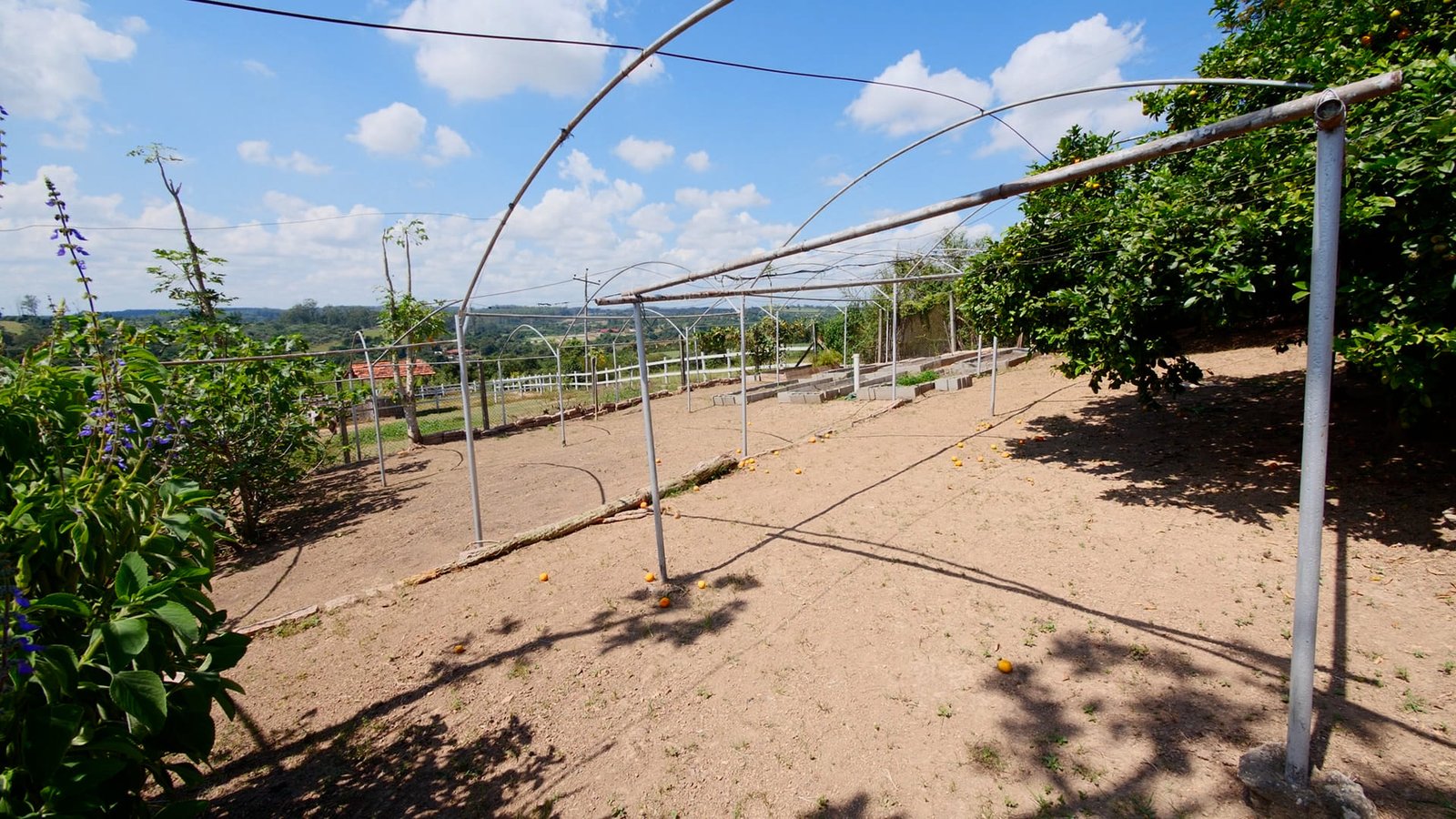 Haras de 2 alqueires à venda em Salto/SP