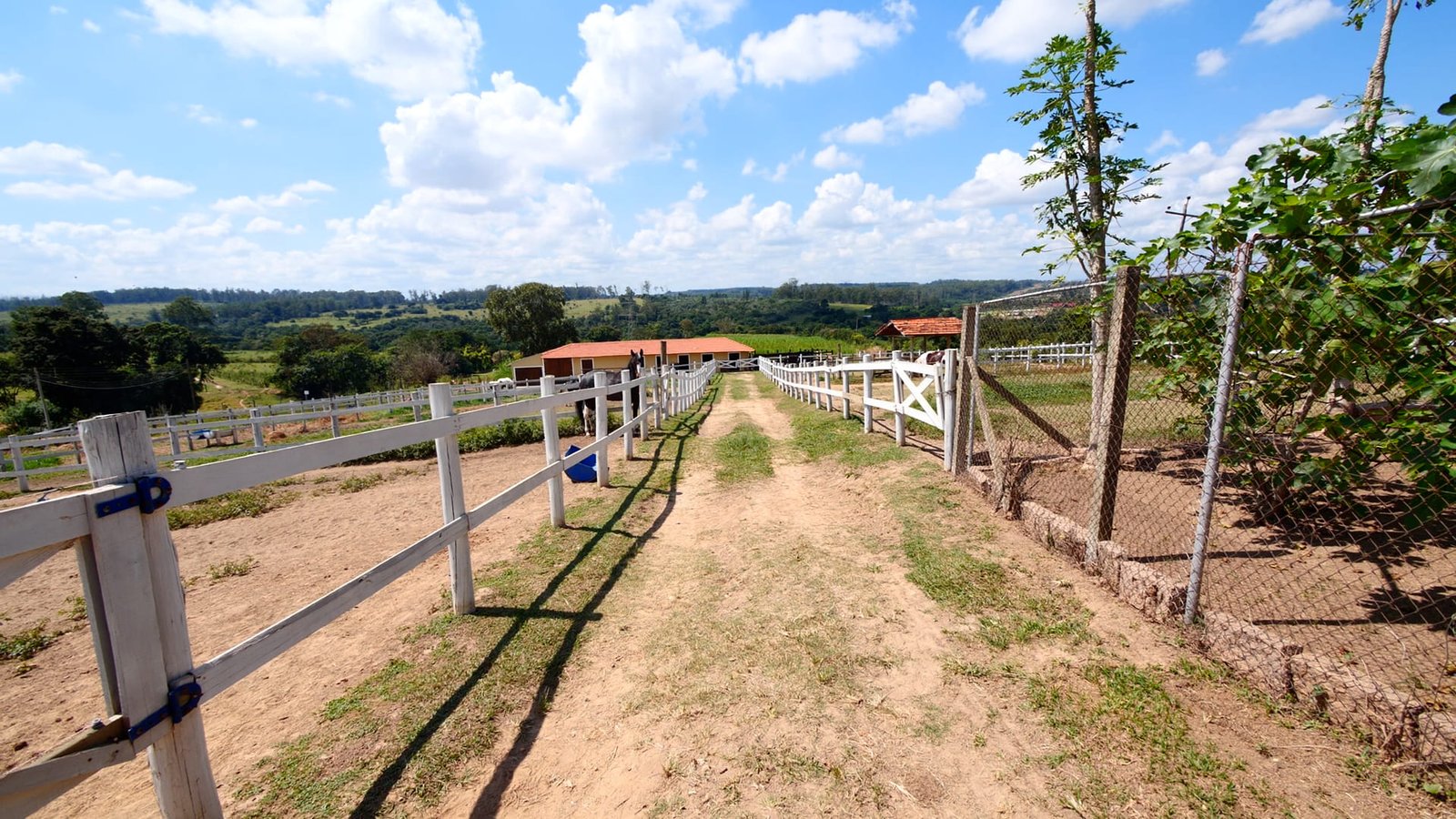 Haras de 2 alqueires à venda em Salto/SP