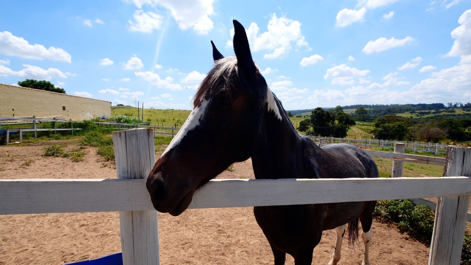 Haras de 2 alqueires à venda em Salto/SP