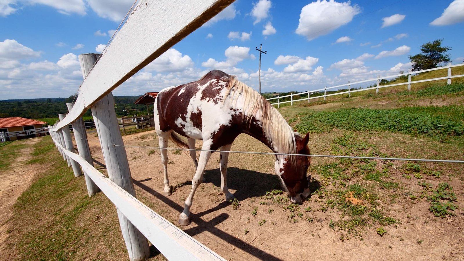 Haras de 2 alqueires à venda em Salto/SP