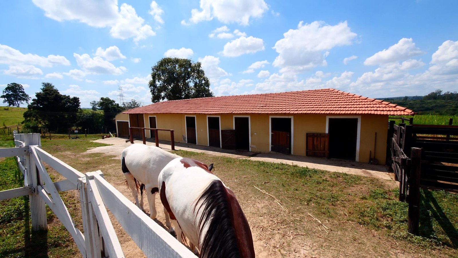 Haras de 2 alqueires à venda em Salto/SP