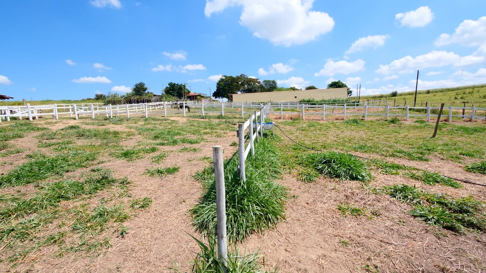 Haras de 2 alqueires à venda em Salto/SP