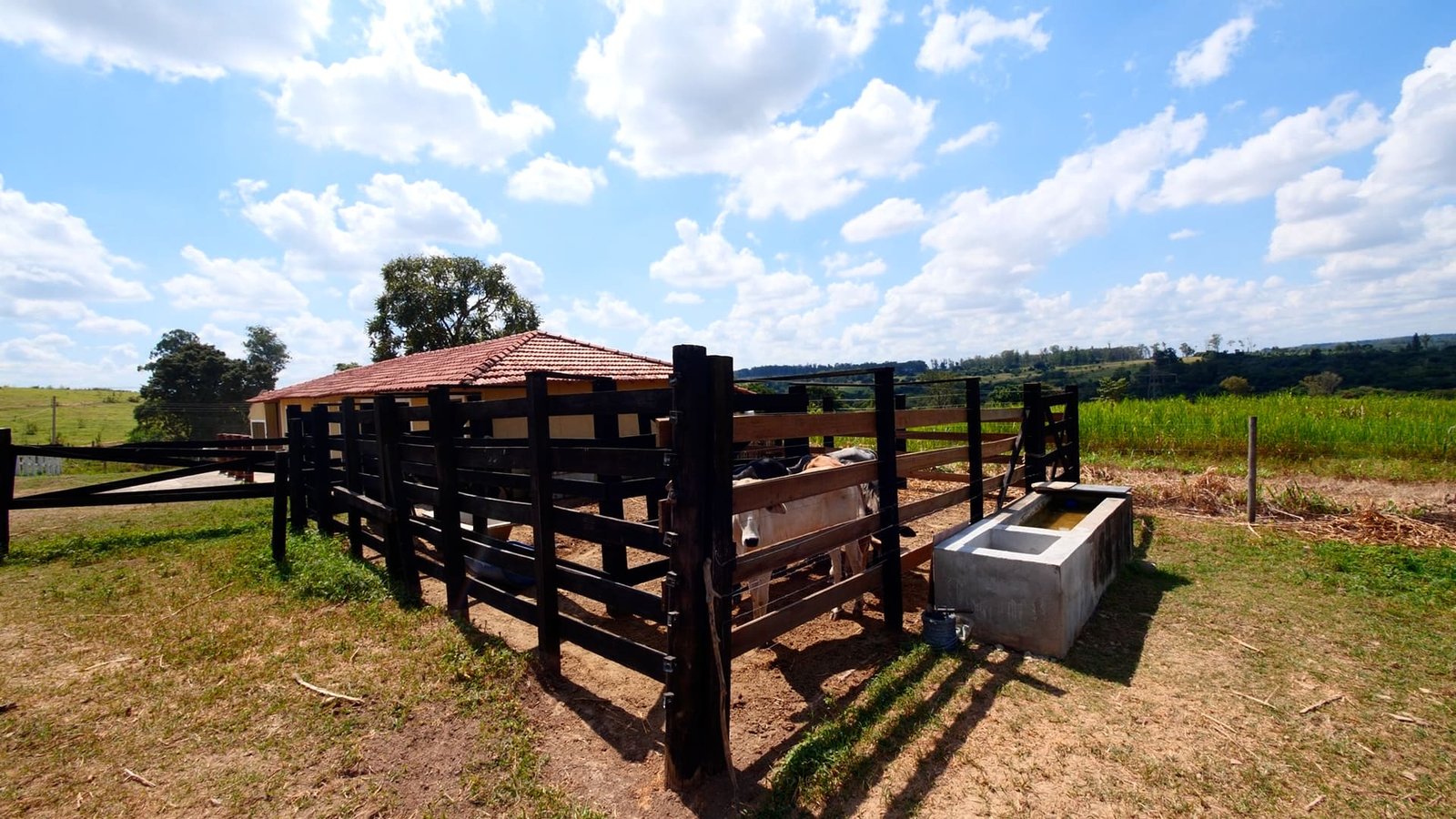 Haras de 2 alqueires à venda em Salto/SP