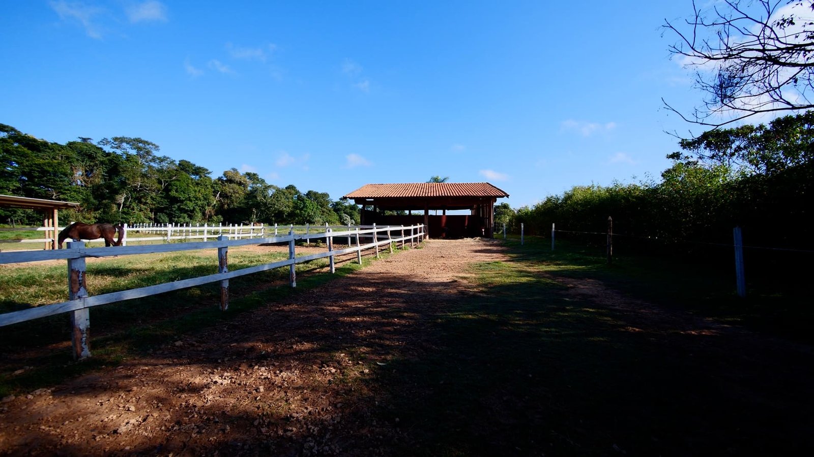 Hípica de Alto Padrão em São Roque - SP | Oportunidade Exclusiva