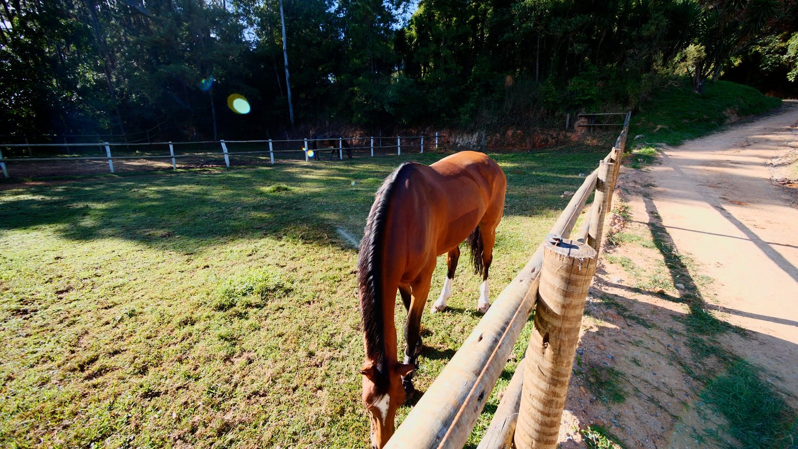 Hípica de Alto Padrão em São Roque - SP | Oportunidade Exclusiva