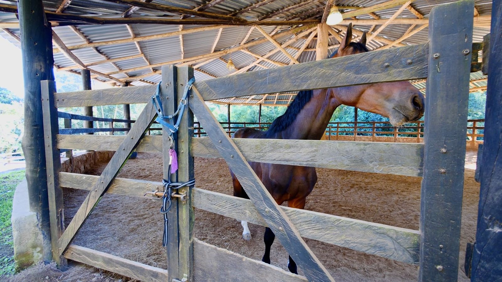Hípica de Alto Padrão em São Roque - SP | Oportunidade Exclusiva