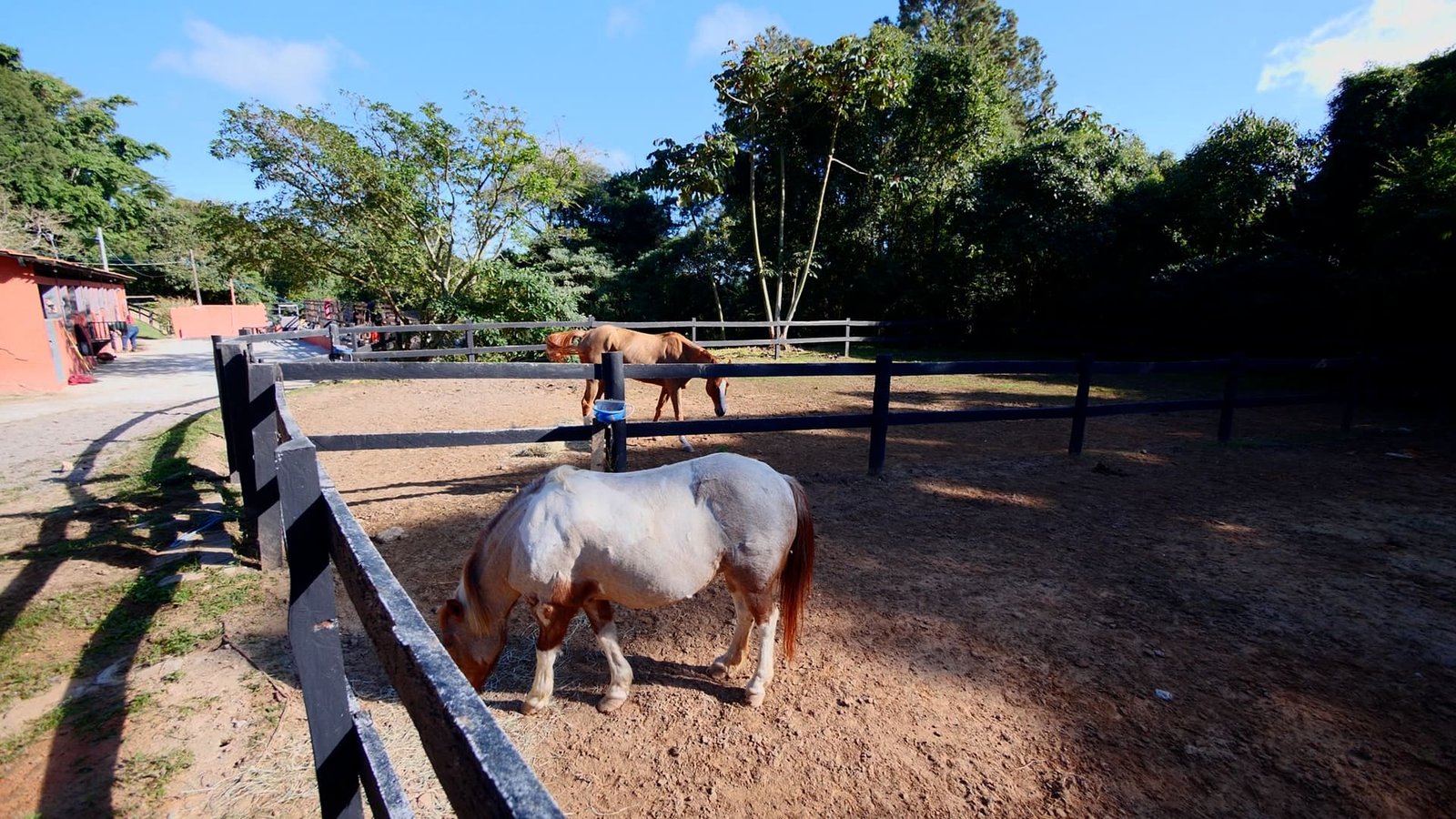 Hípica de Alto Padrão em São Roque - SP | Oportunidade Exclusiva