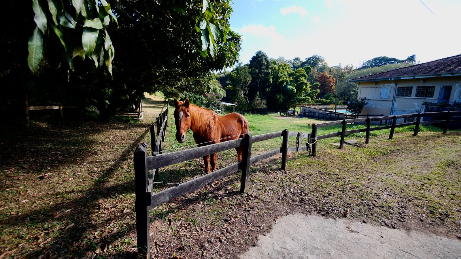 Hípica de Alto Padrão em São Roque - SP | Oportunidade Exclusiva