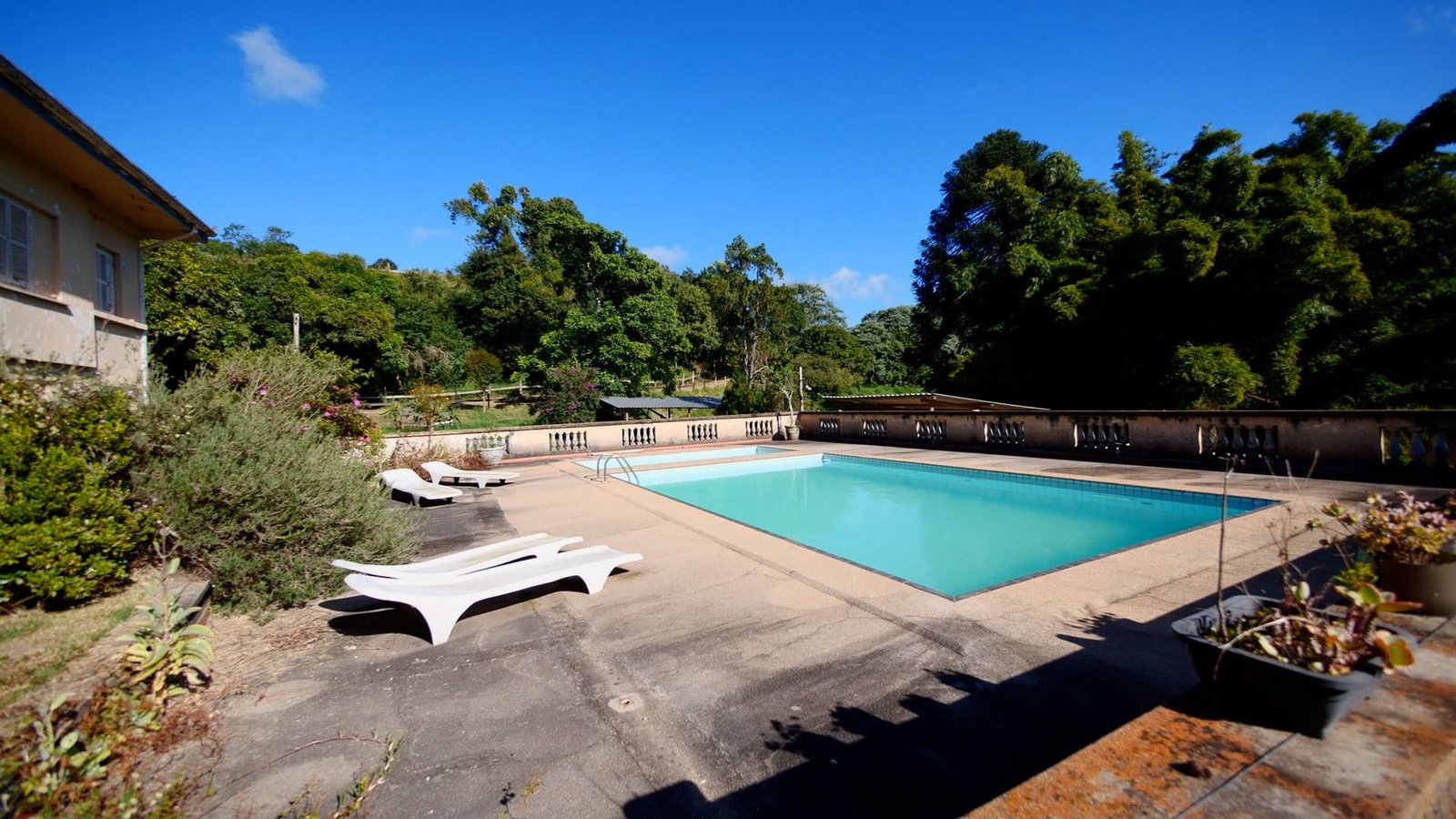 Hípica de Alto Padrão em São Roque - SP | Oportunidade Exclusiva