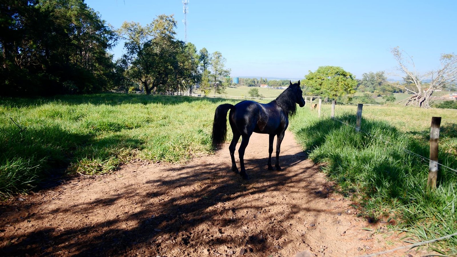 Sítio de 5.3 alqueires à venda em ITU-SP