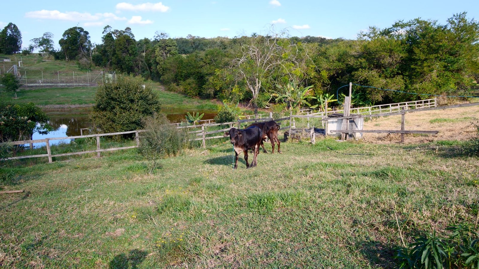 Sítio de Alto Padrão em Itu/SP – 68.000 m²