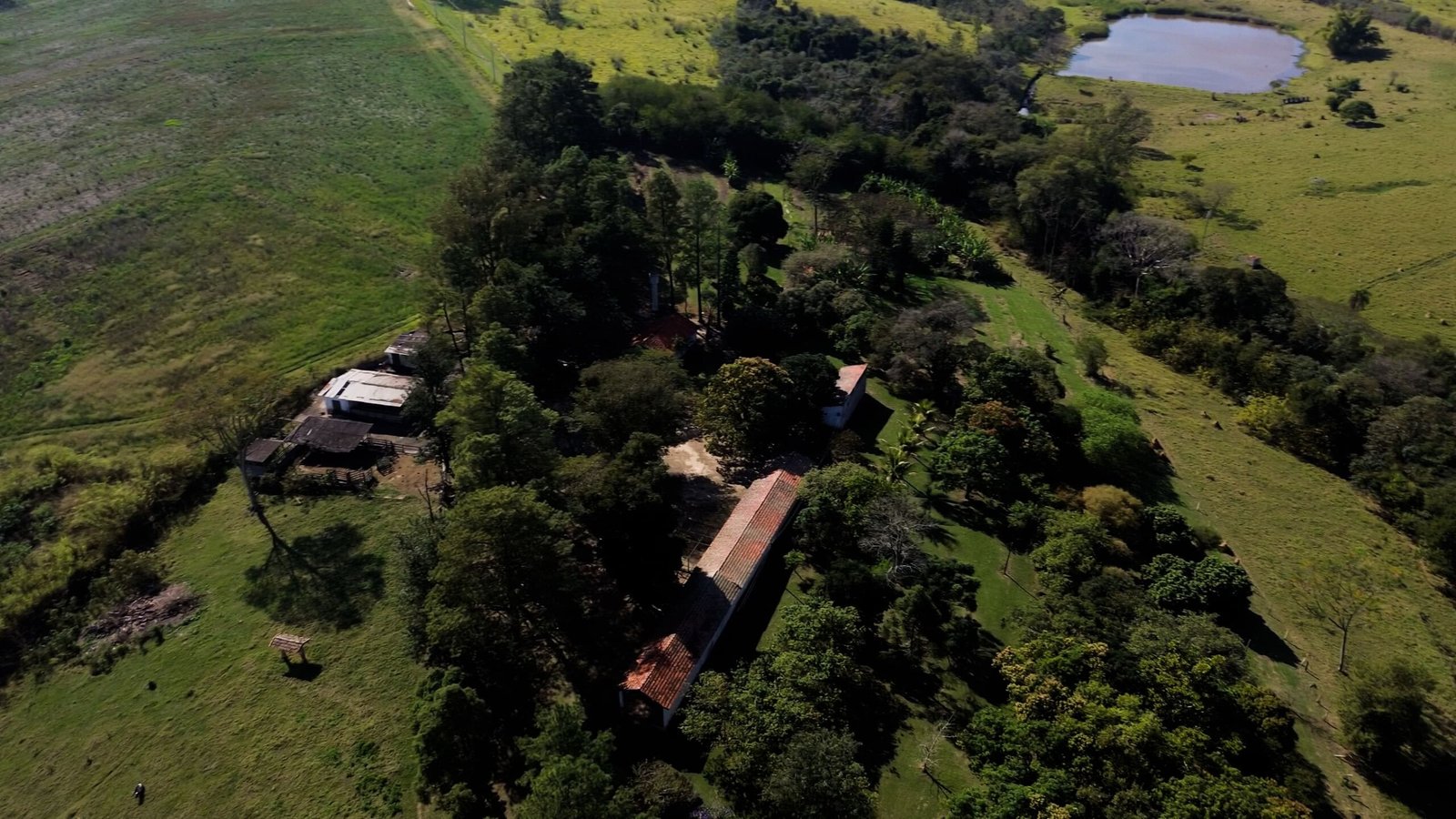 Sítio de 4.3 alqueires à venda em Porto Feliz-SP.