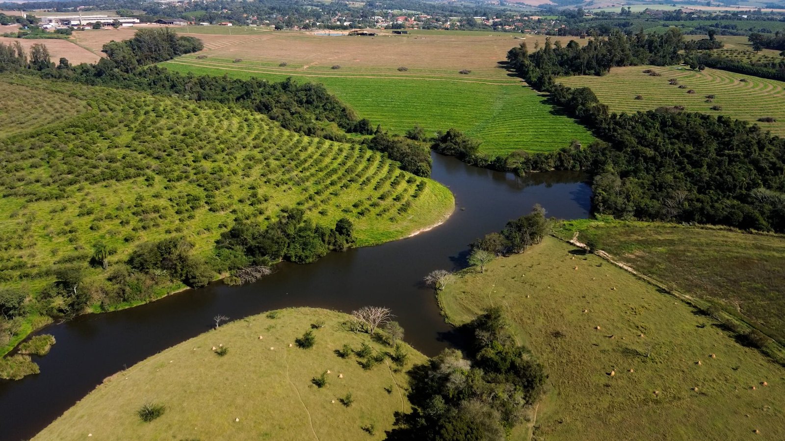 Sítio de 4.3 alqueires à venda em Porto Feliz-SP.